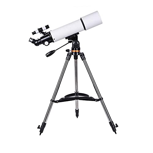 ֗Ȗ]ASҌ]AOrtV̋ܖ]VwpANZT[Af̒T╗i]ɍœKȓVwp]