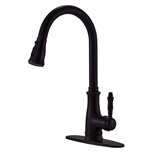 Oil Rubbed Bronze Kitchen Faucet on Stainless Steel Sink