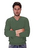cashmere MARIA DI RIPABIANCA Herrenpullover mit V-Ausschnitt 100% Kaschmir Made in Italy (Pastellgrün, 54)