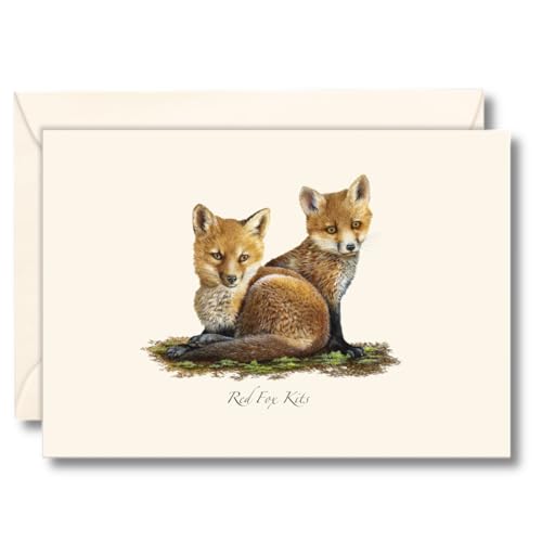 Image of Earth Sky + Water - Red Fox Kits Notecard Set - 8 Blank Cards with Envelopes
