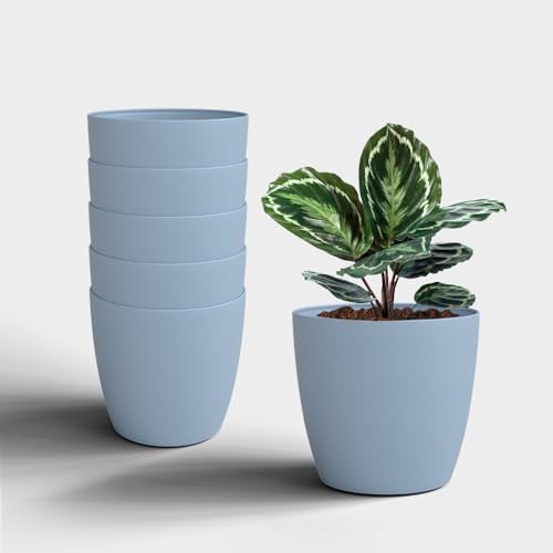 Image of YUCCABE ITALIA SHERA Stella 6 Inch Plastic Plant Pot for Home Decor Indoor Plant Pots for Living Room Plastic Flower Pot for Garden (Cyan, 6 INCH - 6 Pcs)