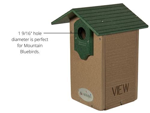 JCs Wildlife Ultimate Mountain Bluebird House - Made in The USA with Recycled Poly Lumber - Viewing Window and Clean Out Door (Green and Brown)