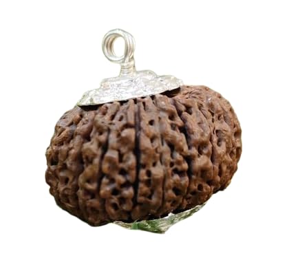 bludiamond 16 mukhi rudraksha original certified nepali natural sixteen mukhi rudraksha silver pendant solah mukhi rudraksha prayer bead सोलह मुखी रुद्राक्ष 16 face rudraksha for women