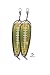 KOKOPROS Kokanee Salmon Finished Teardrop Fishing Flashers 5 ½ inch - Chrome Plated Gold with Ladders, 2-Pack for Trolling & Salmon Fishing