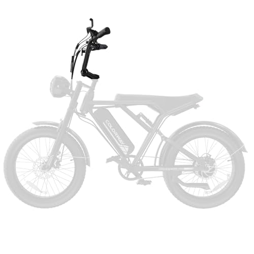 COLORWAY Bicicleta Eléctrica EBike Bicicleta Eléctrica para Mujer y Hombre, Accesorios