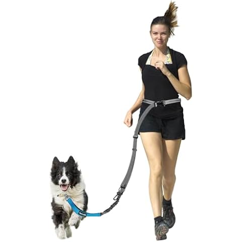 WANFIRE Waist Dog Leash for Large&Medium Dogs, Bungee Dog Leash, 58in-90in Heavy Duty Dog Leash with Car Seatbelt and Double-Sided Reflective Stitches for Waist&Handhel Dog Leash. (GrayBlue 4.8-7.5ft) Cover
