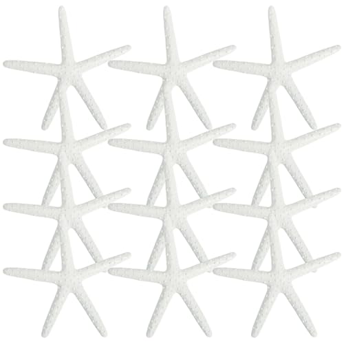 Fun Express White Artificial Starfish - Set of 12 -
