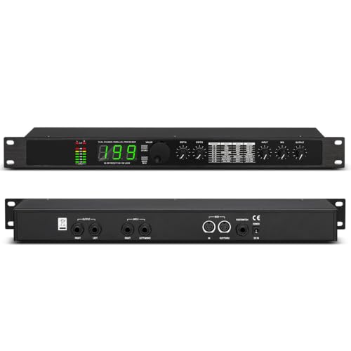 RKXKJ 24-Bit Audio Effects Processor