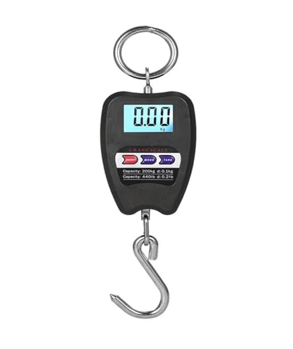 Balance suspendue industrielle 200 kg avec crochet en acier inoxydable robuste