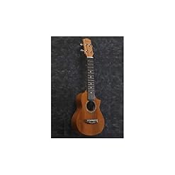 Ibanez, ukulélé 4 cordes, droite, pores ouvertes naturelles (UEW5S) - Les Beatles, Paul McCartney, John Lennon, RIngo Starr, George Harrison Ibanez, ukulélé 4 cordes, droite, pores ouvertes naturelles (UEW5S) – Image 3