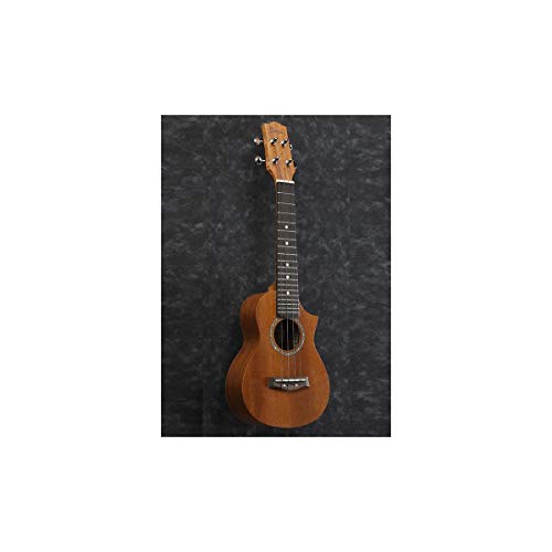 Ibanez, ukulélé 4 cordes, droite, pores ouvertes naturelles (UEW5S) - Les Beatles, Paul McCartney, John Lennon, RIngo Starr, George Harrison Ibanez, ukulélé 4 cordes, droite, pores ouvertes naturelles (UEW5S) – Image 4
