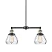 Innovations 209-BAB-G172 2 Light Chandelier, Black Antique Brass