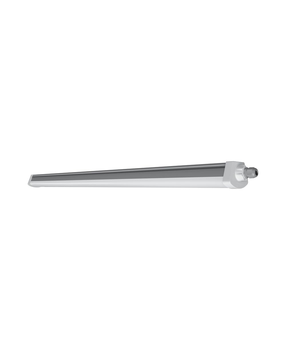 Luminaria estanca LED: para Techo/Wall, Damp Proof Compact IP66 / 55 W, 220 - 240 V, Ángulo de Radiación: 120, Cool Daylight, 6500 K, Material del Cuerpo: Polycarbonate (pc), IP66, 1-Pack