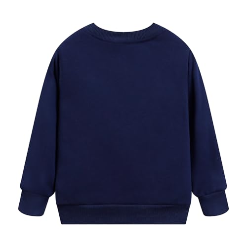 RETSUGO Toddler Little Boys 100% Cotton Crewneck Sweatshirts Long Sleeve Shirt Pullover Sweater Kid Fall Clothes 2-7 Years3
