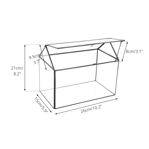 NCYP House Shape Glass Terrarium with Acrylic Lid - 10.2x5.9x8.2 Inches Large Geometric Box for Snails, Ferns, Succulents, Air Plants, Indoor Tabletop Decor, Handmade (Terrarium Only)