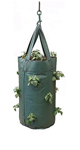 Nutley's Hanging Tomato Growbag Planter - Dark Green #TOP1