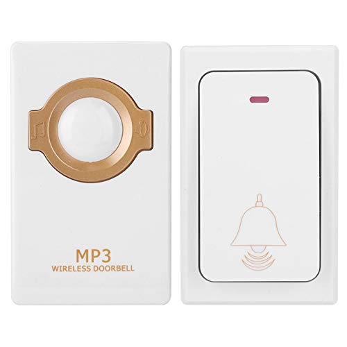 The 4 Best Doorbells MP3 of 2022 Expert's Guide