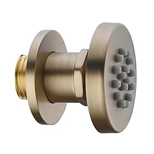 Besttoolifes Verstellbarer Duschkopf Körperspray (Gold)