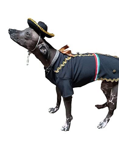 Disfraz mariachi para perro talla L