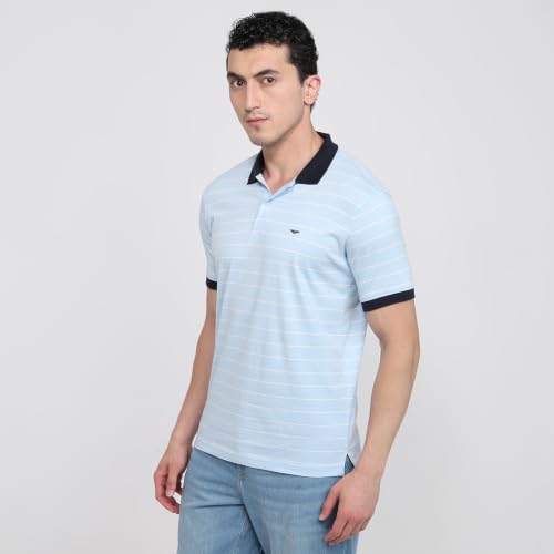 Image of Park Avenue Men Slim Fit Stripe Pattern Pure Cotton Polo Neck Half Sleeve Casual T-Shirt
