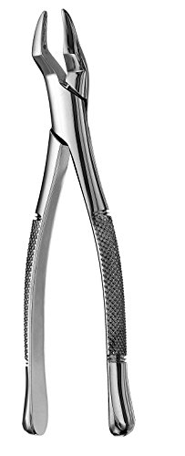 Hu-Friedy F300 #300 Root Forceps, Serrated