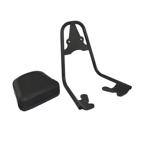 Coussin dossier PG-1 avec support ergonomique passager 2024