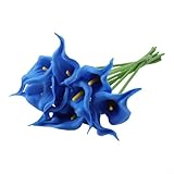 EpheyFIF