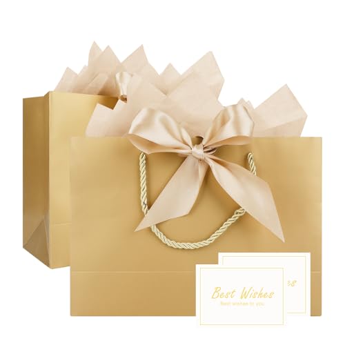Geschenktüten, TACHIO 2er Set Papier Geschenktaschen mit 4 Seidenpapierbögen und 2 Karten, Personalisierte Geschenkbeutel mit Band für Frauen/Männer Geburtstag, Hochzeit, Taufe, Party(Champagner Gold)