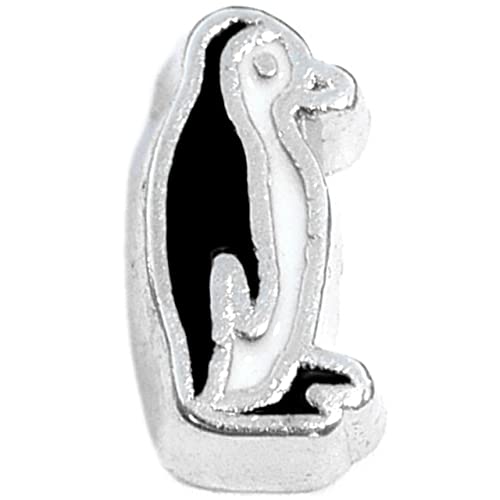 Penguin Floating Locket Charm #TOP25