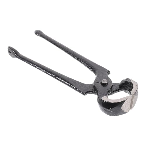 POPETPOP q[ [o[ y` y` C C B  C q[ C [o[ 