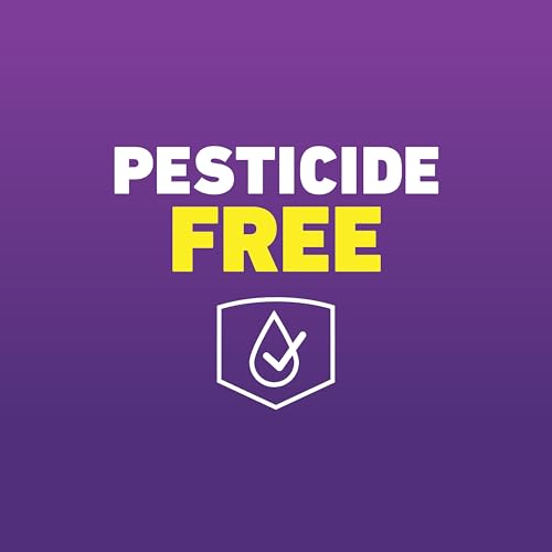 Ortho Home Defense MAX Bed Bug Trap 2-Traps