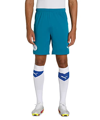 Image of PUMA Men Shorts