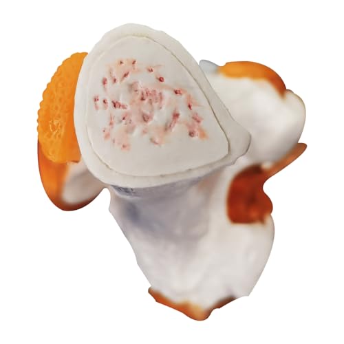 Image of Knee Joint Model, Human Knee Joint Model with Knee Ligaments, Life-Size Anatomical Knee Joint Flexible Bone Model, Ideal for Medical Learning and Teaching