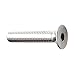 FOREVERBOLT FBFHEADS142034P100 Socket Head Cap Screw, 1/4"-20 X 3/4" Long, 18-8 Stainless Steel, Finish NL-19, PK 100