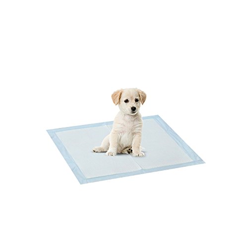 Image of FURINNO FP10056 100 Count Pet Training Pads, Regular