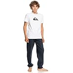 Quiksilver Comp Logo Ss YTH (Kids) - Image 4