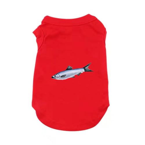 ZSDGBZ  ėp ⊴ TVc ^  bh ʋC L  ΍ p^Ngbv t Ă΍ 畆ی X|[cEFA JWA Lk  o U