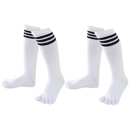 [PJ] LbY nC\bNX ܖ{w\bNX Ԃ  2Zbg 5{w\bNX j̎q ̎q X|[c\bNX ʋC 5{wC C X|[c XN[\bNX q \bNX jO ^ ʉ ʊw