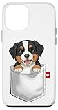 Funny Dog In Pocket For Dog Lovers DonaOnca