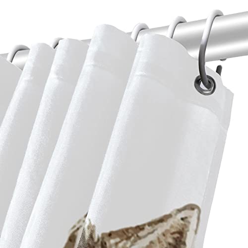 Rideau de douche imperméable pour éviter les éclaboussures motif chat marron - 6