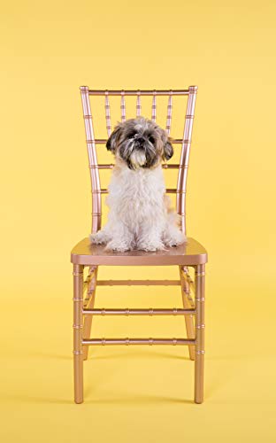 Flash Furniture Hercules Premium Series Chiavari Chair for Formal Events and Banquets, Commercial/Residential All-Occasion Event Chair, Gold - Image 12