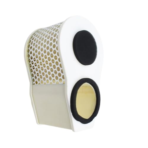 Filtre à air de moto compatible Yamaha XVZ 1300 custom cruiser 4NK