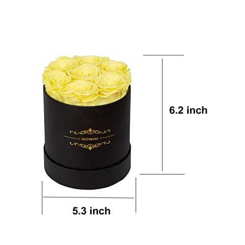 Natroses Preserved Real Roses In A Box Roses That Last Up To 3 Years, Long Lasting Roses Gifts For Her, Valentines Day Gifts For Her (Yellow) #TOP5