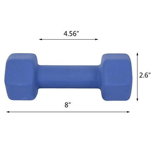 Fiveshops Fitness Dumbbell Set Of 2, Blue Neoprene Coated Strength Building Weight Loss Portable Weights For Home Gym Hand Weight 6/8/10/12/15 Pound (6 Pound) #TOP4