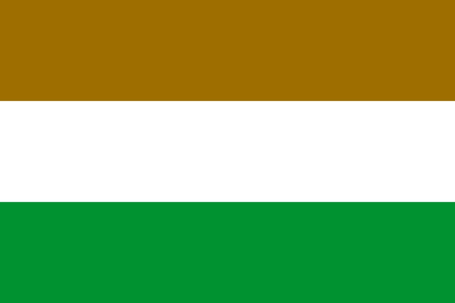 Drapeau Transkei XL de qualité supérieure avec œillets en laiton