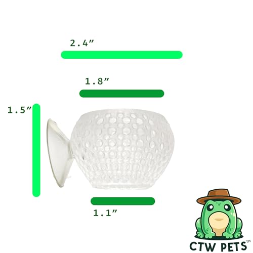 Image of CTWPets Natural Betta Bulb Hide | Betta Rest Fish Tank Ornament | Aquarium Cave with Suction Cup for Small Fish Tank, Betta Habitat, Shrimp Hideout, Aquatic Decor (Transparent)