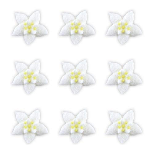 Cake Company Tortendeko Geburtstag | Edelweiß Zuckerblume ca.30mm 60 Stck