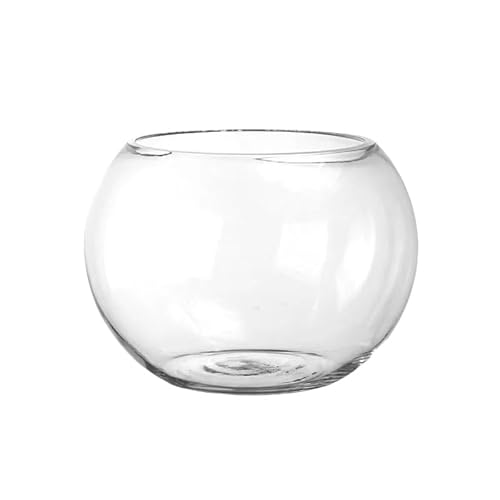 pisipe  ی^ KX e ^[g^N e[u ANAE {E | e CeA IuWF eE ԕr  Ɏqr Ԋ t[x[X 