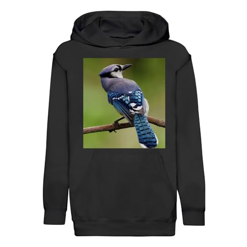 Sweat à capuche enfant geai cadeau d'anniversaire original pull oiseau forêt