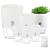 Self Watering Pots for Indoor Plants with Stones